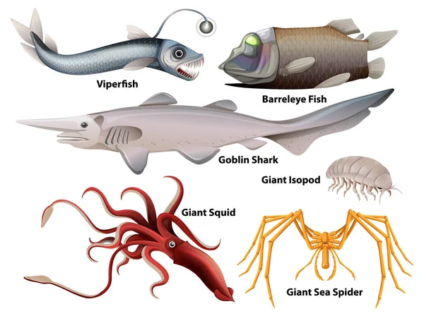 Derin Deniz Yaratıkları Koleksiyonu Çizimi — Stok Vektör