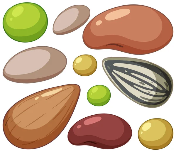 Set Nuts Peas Illustration — Stock Vector