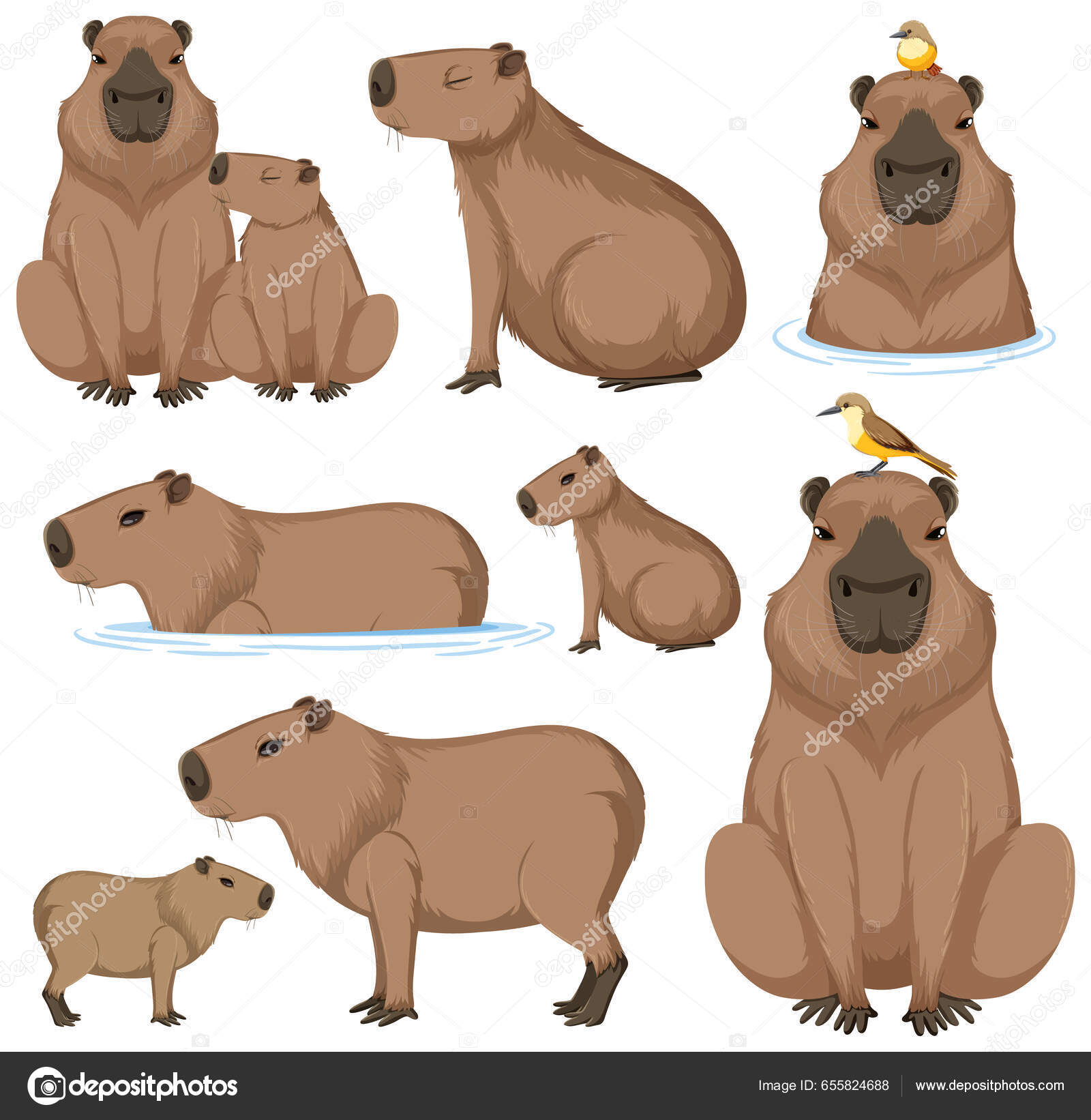 Ilustração em vetor capivara bonito dos desenhos animados vetor animal  isolado design plano