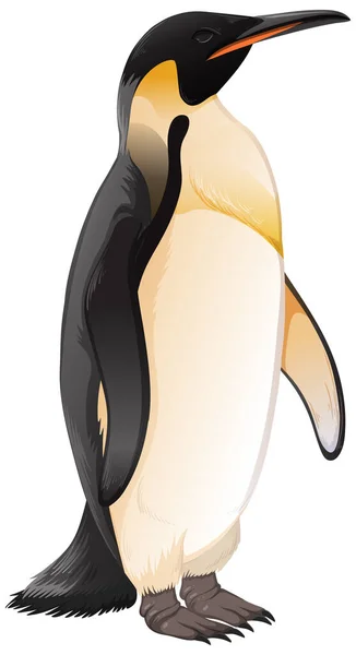 Pingüino Emperador Sobre Fondo Blanco Ilustración — Vector de stock