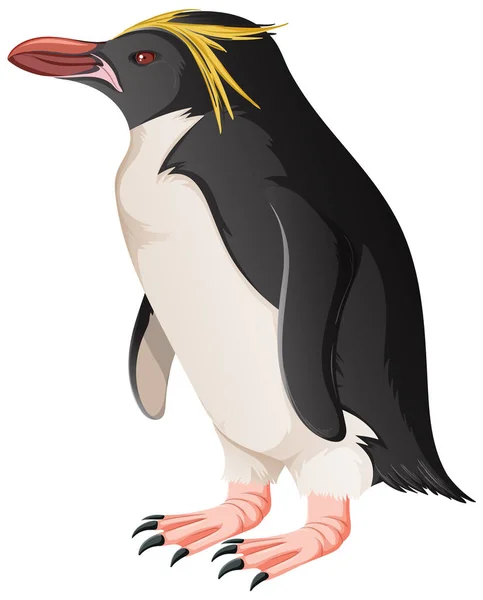 Macaroni Penguin White Background Illustration — Stock Vector