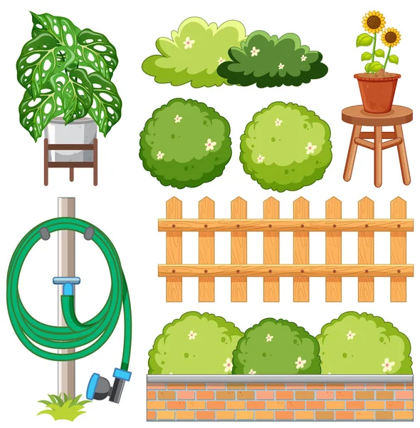 Zestaw Elementów Roślin Ogrodowych Ilustracja — Wektor stockowy