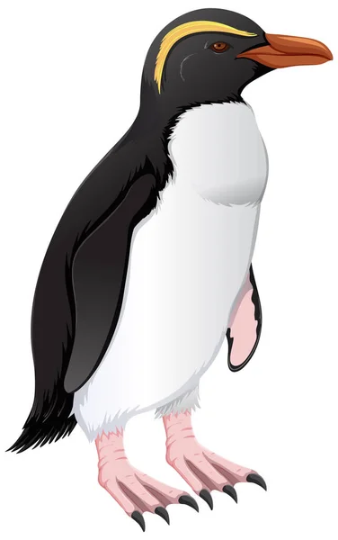 Fiordland Penguin Vit Bakgrund Illustration — Stock vektor