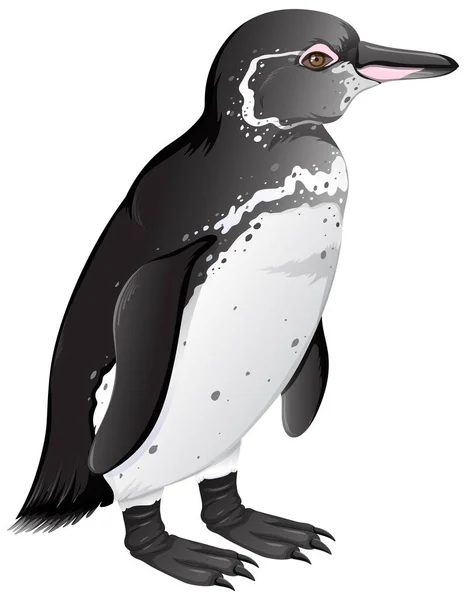 Pingwin Galapagos Białym Tle Ilustracja — Wektor stockowy
