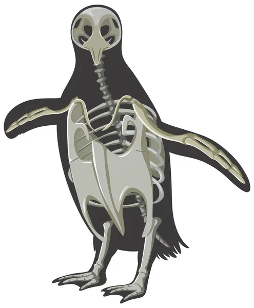 Penguin Bone Structure Cartoon Illustration — Stock Vector