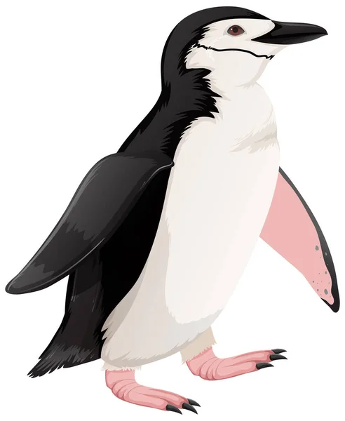 Chinstrap Penguin Witte Achtergrond Illustratie — Stockvector