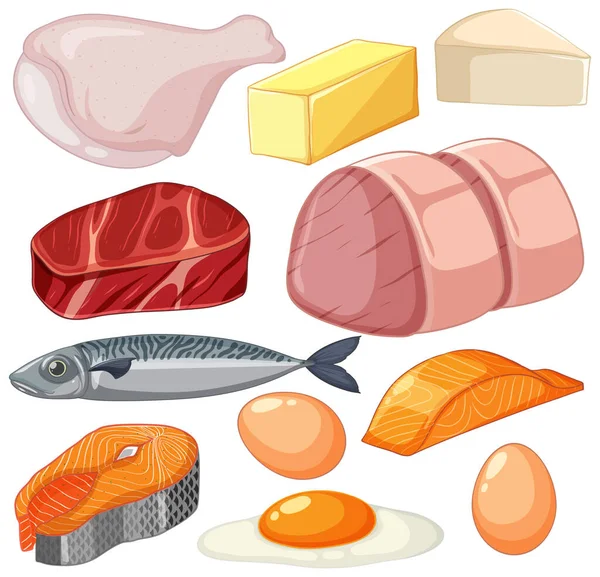 Conjunto Proteínas Ilustração Grupo Alimentos — Vetor de Stock