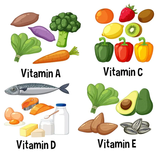 Zdrowa Żywność Żywienie Wektor Owoców Warzyw Białka Ilustracji — Wektor stockowy