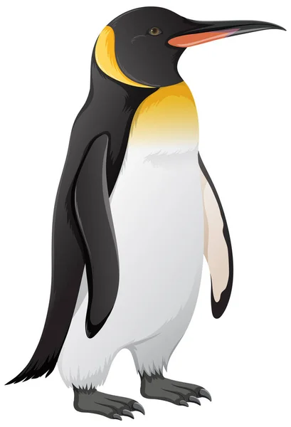 Pingüino Rey Sobre Fondo Blanco Ilustración — Vector de stock