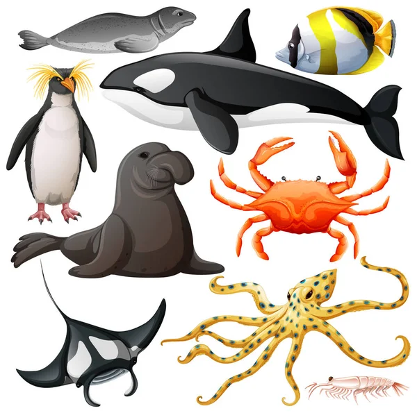 Mořská Zvířata Vektorová Kolekce Ilustrace — Stockový vektor