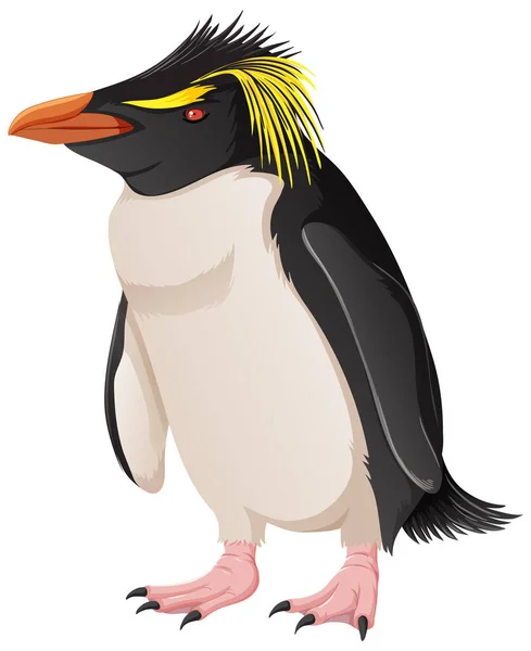 Rock Hopper Pingouin Sur Fond Blanc Illustration — Image vectorielle