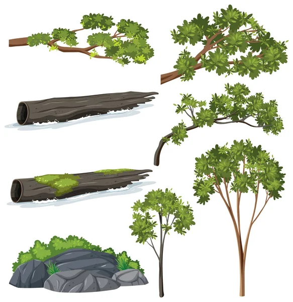 多様な木ベクトルセットイラスト — ストックベクタ