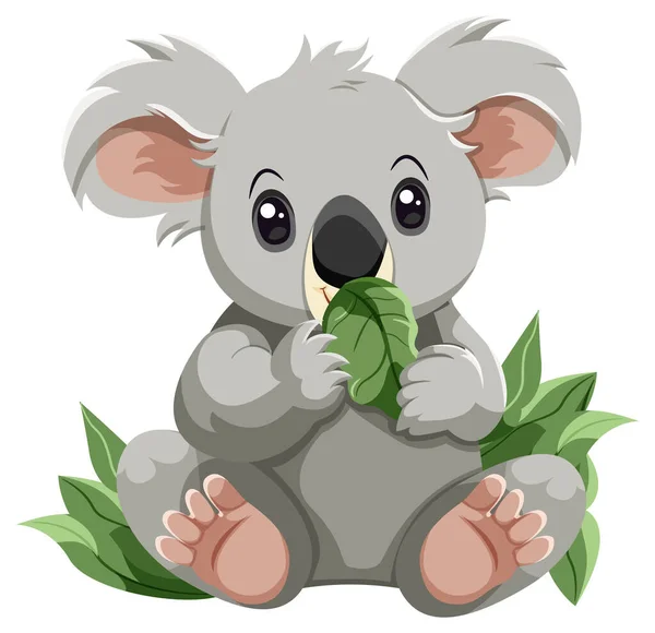 Cute Koala Cartoon Character Isolated Illustration — Stock Vector