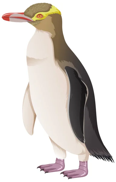 Beyaz Arkaplan Görünümü Üzerine Sarı Gözlü Penguen — Stok Vektör