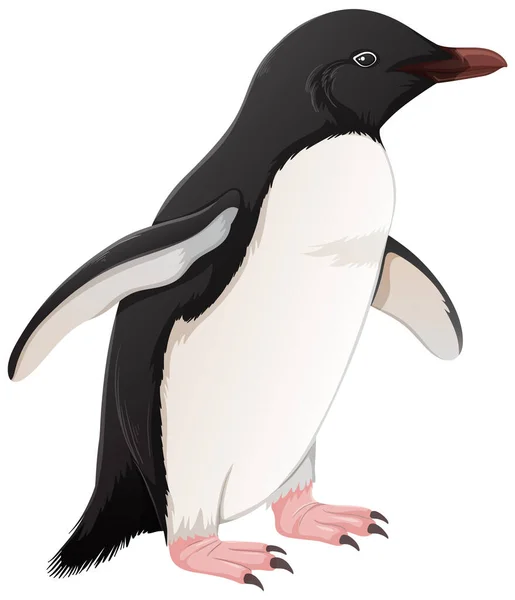 Pingüino Adelie Sobre Fondo Blanco Ilustración — Vector de stock