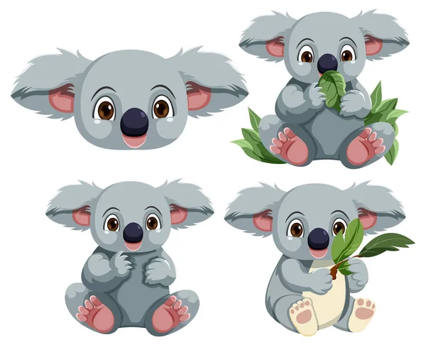 Leuke Koala Beer Cartoon Karakter Set Illustratie — Stockvector