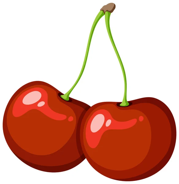 Levendige Red Cherry Geïsoleerde Vector Illustratie — Stockvector