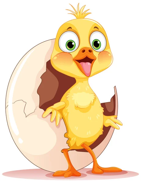 Baby Chicken Hatching Isolated Illustration — Stock Vector