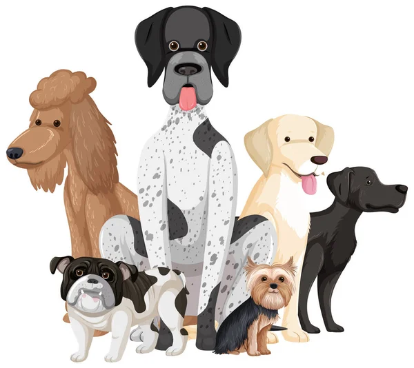 Set Dog Dog Breeds Cartoon Illustration — Stock Vector