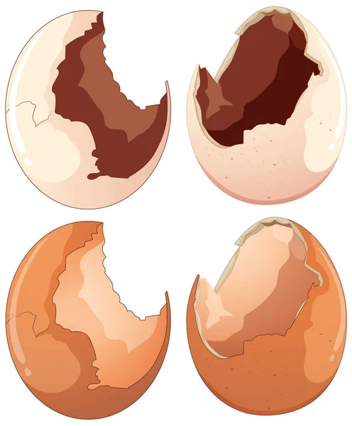 さまざまな形の割れた卵のコレクションのイラスト — ストックベクタ