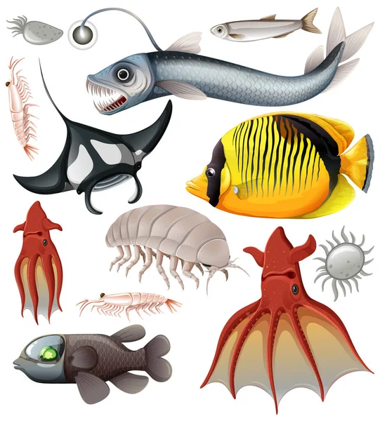 Морські Тварини Векторна Колекція Ілюстрація — стоковий вектор