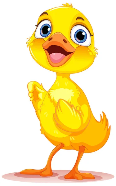 Adorável Little Duck Isolado Ilustração —  Vetores de Stock