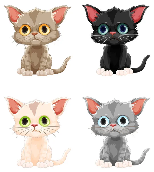 Collection Cute Kitten Cartoon Characters Illustration — Stock Vector