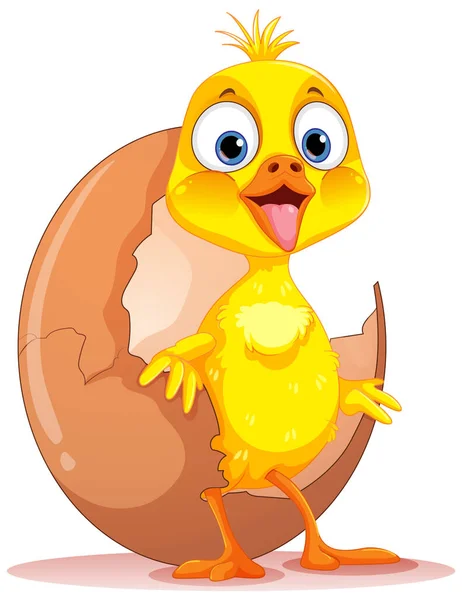 Baby Chicken Hatching Isolated Illustration — Stock Vector