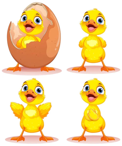 Rozkošný Little Duck Charakter Collection Ilustrace — Stockový vektor