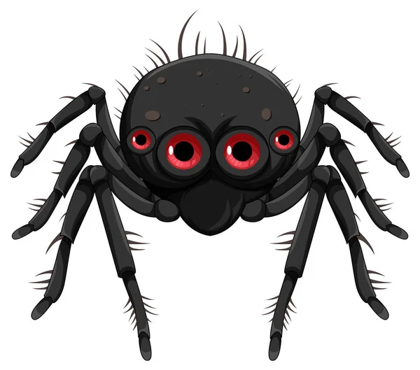 Schwarze Spinne Karikatur Isolierte Illustration — Stockvektor