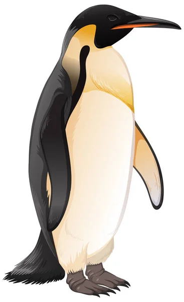 Empereur Pingouin Sur Fond Blanc Illustration — Image vectorielle