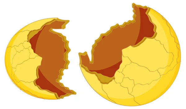 白色背景图上的黄色裂开的蛋 — 图库矢量图片