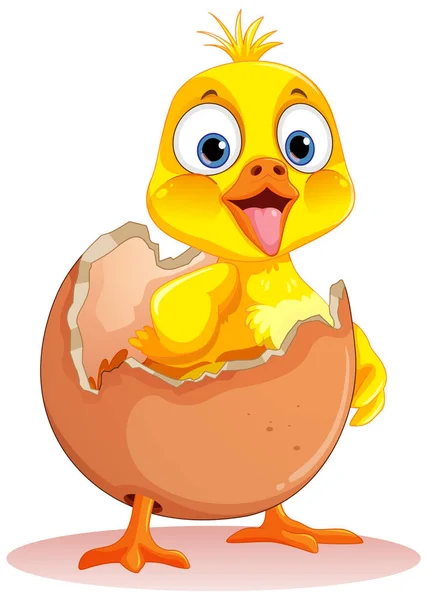 Little Duck Hatching Egg Ilustración — Archivo Imágenes Vectoriales
