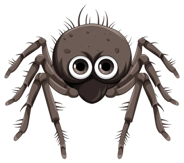 Black Spider Cartoon Isolated Illustration — Stock Vector