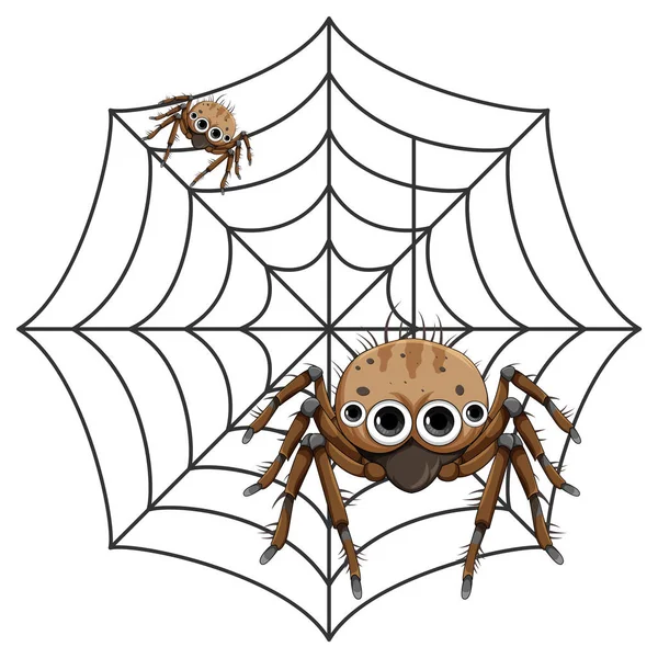 蜘蛛网上的蜘蛛漫画孤立的插图 — 图库矢量图片