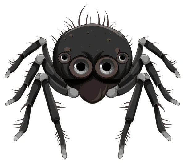 Μαύρη Αράχνη Κινουμένων Σχεδίων Απομονωμένη Εικόνα — Διανυσματικό Αρχείο