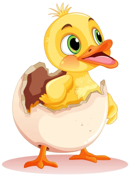 Little Duck Hatching Egg Ilustración — Archivo Imágenes Vectoriales