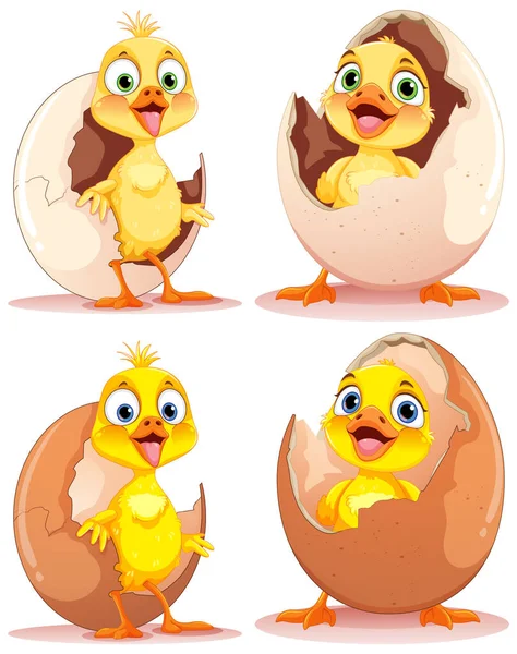Adorable Illustration Collection Little Duck Character — Image vectorielle