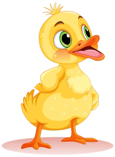 可爱的小鸭孤立的例证 — 图库矢量图片