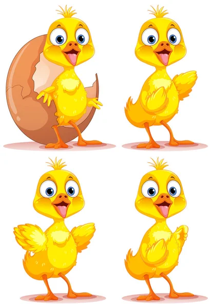 Set Baby Chicken Cartoon Illustration — Stock Vector