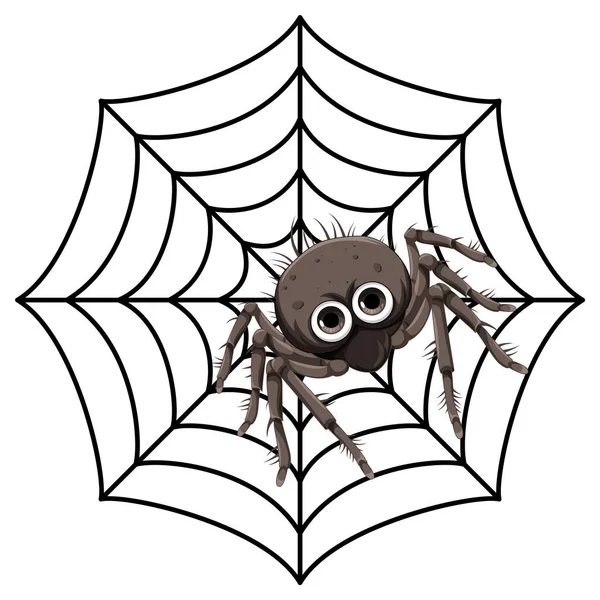Spider Spindel Web Tecknad Isolerad Illustration — Stock vektor