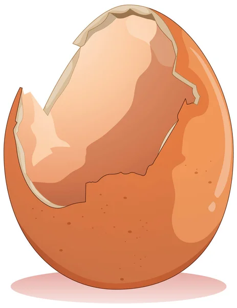 Cracked Egg White Background Illustration — Stock Vector