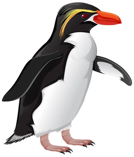 Snares Penguin Witte Achtergrond Illustratie — Stockvector
