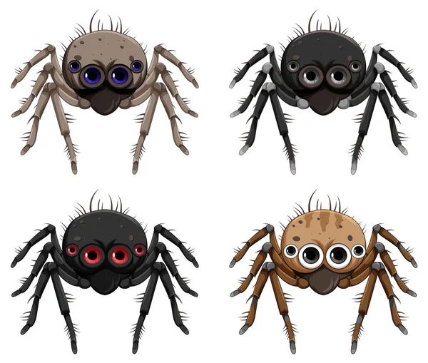 Set Spider Cartoon Isolated Illustration — Stock Vector