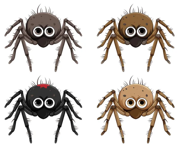 Set Spider Cartoon Isolated Illustration — Stock Vector