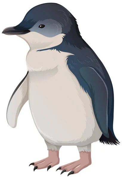 Liten Pingvin Eller Älva Pingvin Vit Bakgrund Illustration — Stock vektor