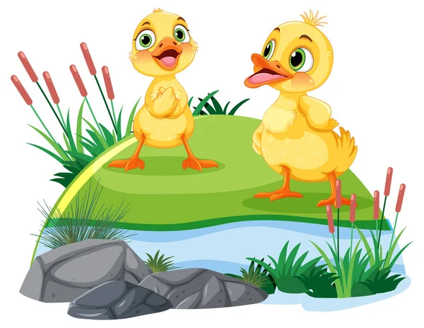 stock vector Cute Ducks in the Pond illustration