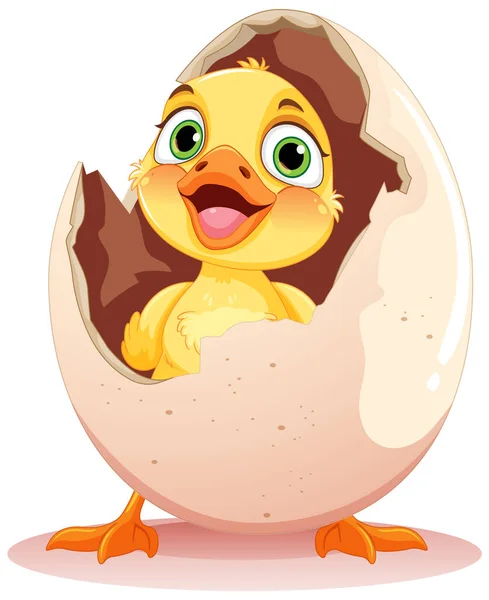 Petite Éclosion Canard Illustration Egg — Image vectorielle