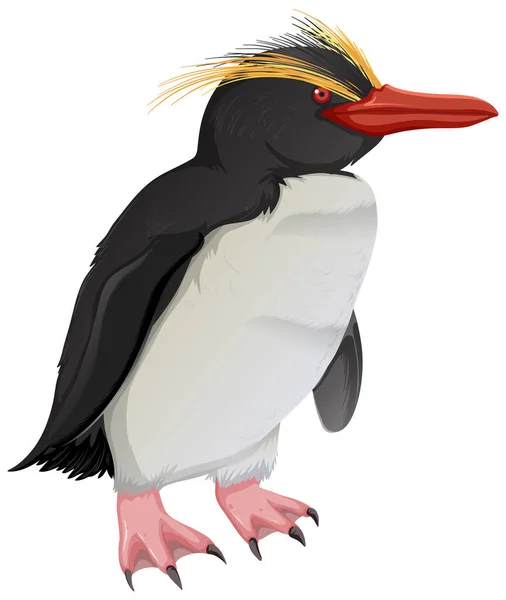 Pingüino Rockhopper Del Norte Sobre Fondo Blanco Ilustración — Vector de stock