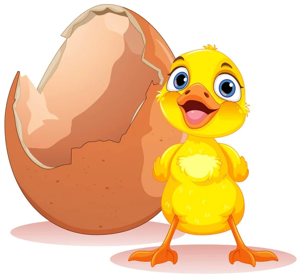 Little Duck Hatching Ilustração Egg —  Vetores de Stock